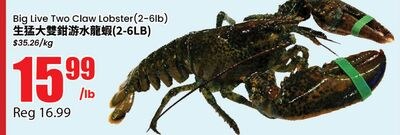 Big Live Two Claw Lobster (2-6lb)