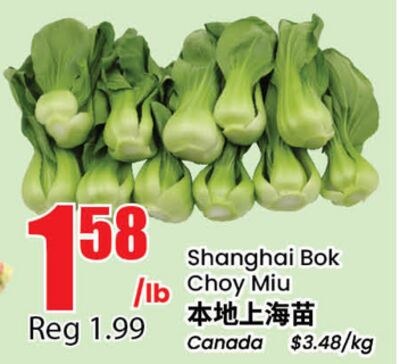 Shanghai Bok Choy Miu