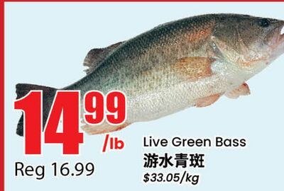 Live Green Bass