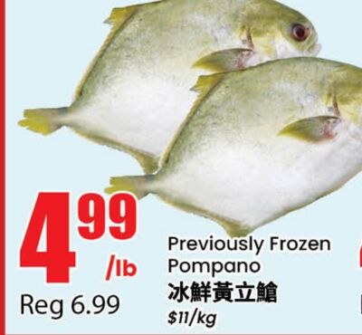 Previously Frozen Pompano