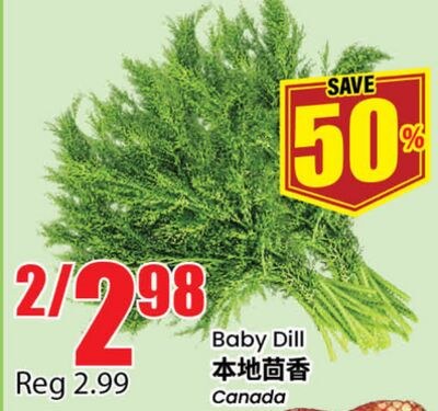 Baby Dill