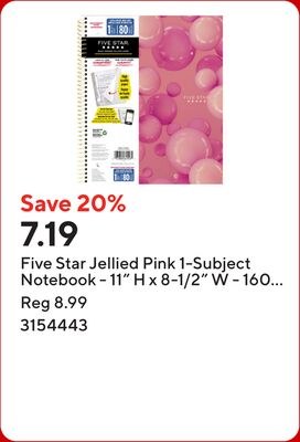 Five Star Jellied Pink 1-Subject Notebook - 11"…