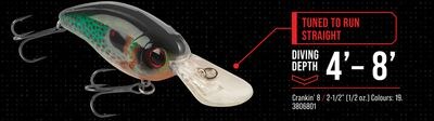Bass Pro Shops Scuttle Shad Crankbait