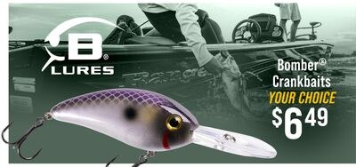 JB LURES Bomber Crankbaits Fat Free Shad