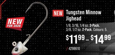 Bass Pro Shops XPS Tungsten Minnow Jighead