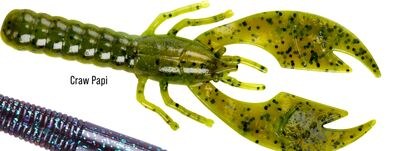 Craw Papi