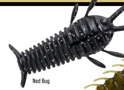 Ned Bug