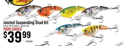 Bass Pro Shops Jointed Suspending Shad Kit