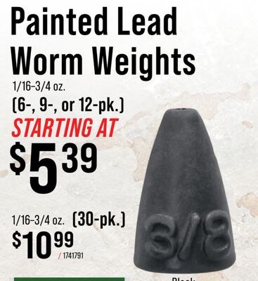 Painted Lead Worm Weights