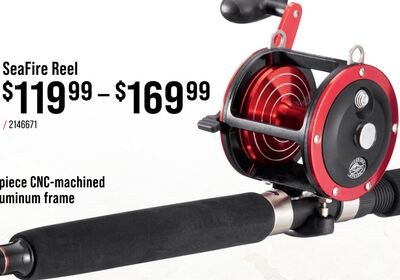 Offshore Angler SeaFire Reel