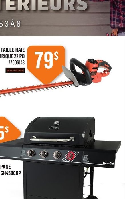Taille-haie électrique 22 po