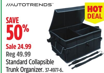 Autotrends Standard Collapsible Trunk Organizer