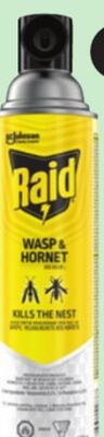 Raid Wasp & Hornet Insect Killer Spray