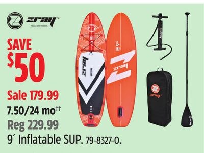9´ Inflatable SUP