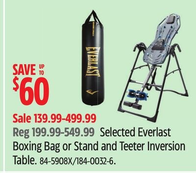 Selected Everlast Boxing Bag or Stand and Teete…