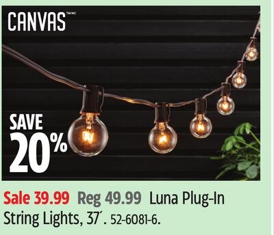 CANVAS Luna Plug-In String Lights, 37´