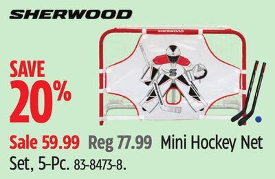 Mini Hockey Net Set, 5-Pc.
