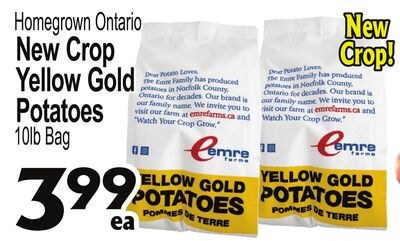 Homegrown Ontario New Crop Yellow Gold Potatoes