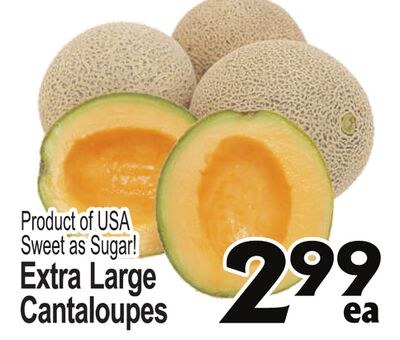 Extra Large Cantaloupes