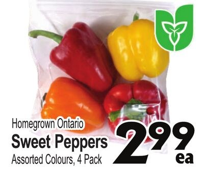 Homegrown Ontario Sweet Peppers