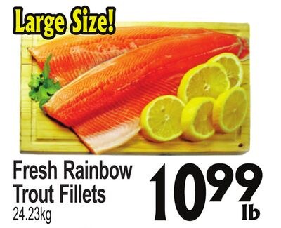 Fresh Rainbow Trout Fillets