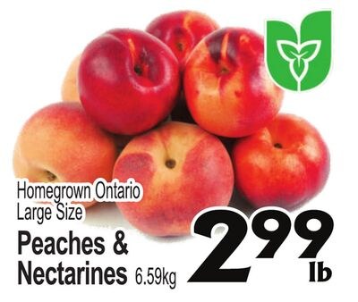 Homegrown Ontario Large Size Peaches & Nectarin…