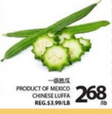 CHINESE LUFFA