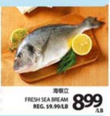 FRESH SEA BREAM