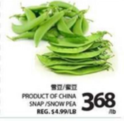 SNAP/SNOW PEA
