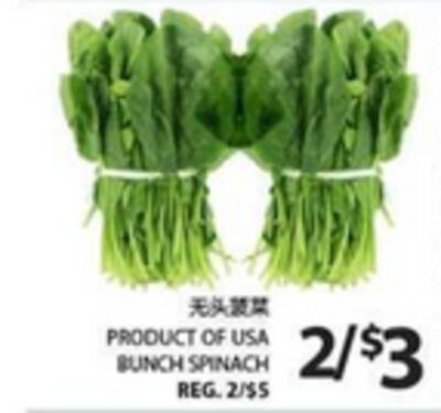 BUNCH SPINACH