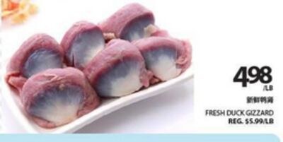 FRESH DUCK GIZZARD
