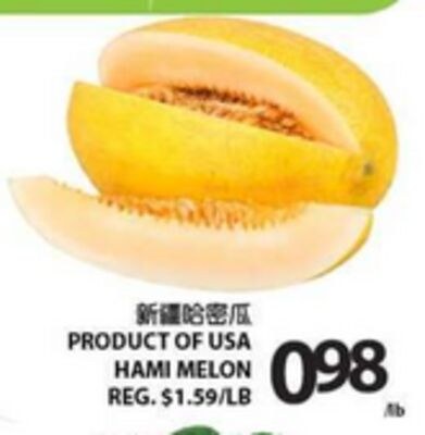 HAMI MELON