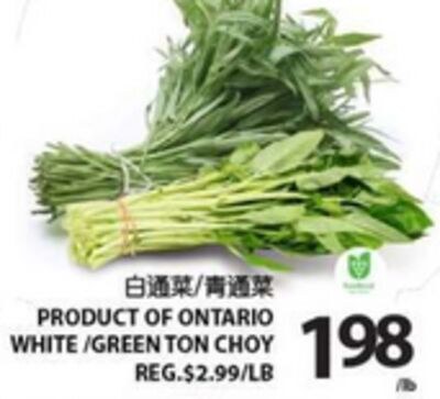 WHITE / GREEN TON CHOI