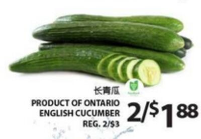 PRODUCT OF ONTARIO ENGLISH CUCUMBER