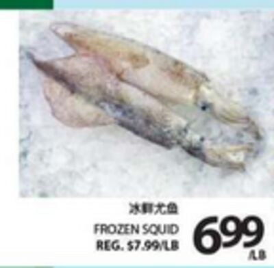 FROZEN SQUID