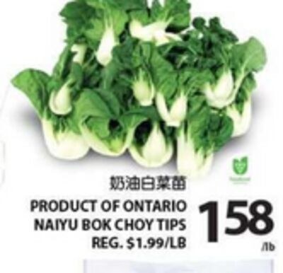 NAIYU BOK CHOY TIPS