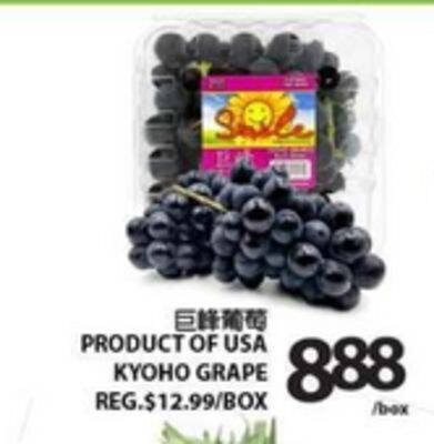 PRODUCT OF USA KYOHO GRAPE
