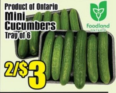Product of Ontario Mini Cucumbers