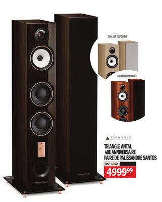 TRIANGLE ANTAL 40E ANNIVERSAIRE PAIRE DE PALISS…