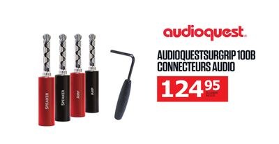 AUDIOQUESTSURGRIP 100B CONNECTEURS AUDIO