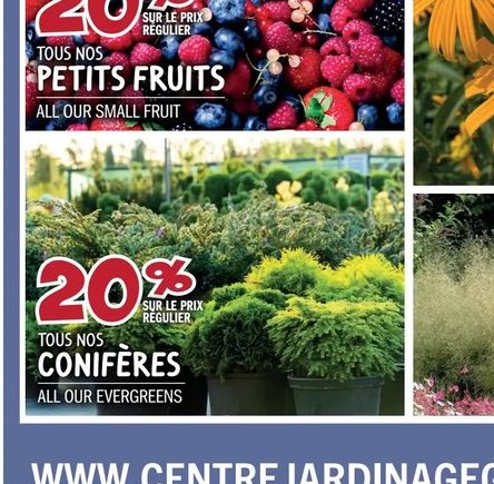 Tous nos petits fruits