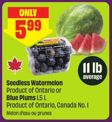 Seedless Watermelon Product of Ontario or Blue …