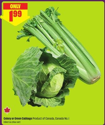 Celery or Green Cabbage Product of Canada, Cana…