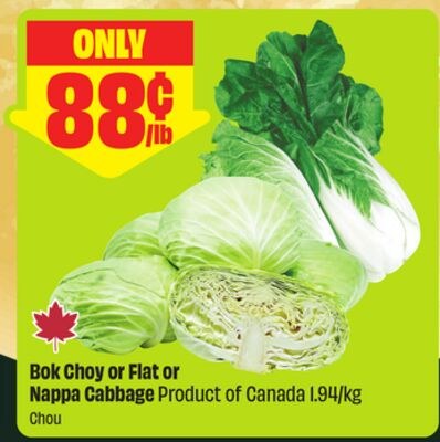 Bok Choy or Flat or Nappa Cabbage Product of Ca…