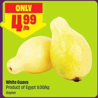 White Guava Product of Egypt 11.00/kg
