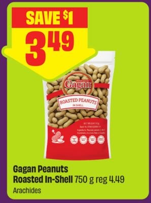 Gagan Peanuts Roasted In-Shell 750 g