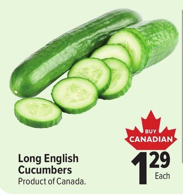 Long English Cucumbers