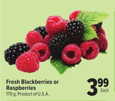 Fresh Blackberries or Raspberries