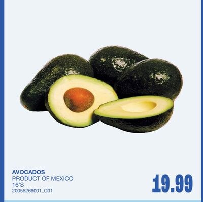 AVOCADOS, 16'S