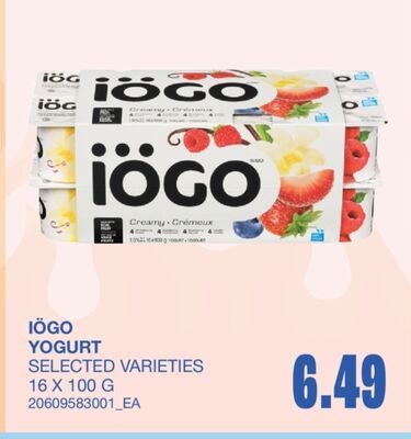 YOGURT, 16 X 100 G